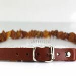 gintariniai karoliai šunims