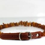 Gintarinis antkaklis