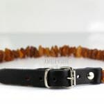 gintariniai karoliai šunims