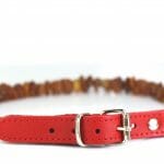 Gintarinis antkaklis