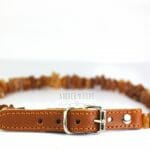 Gintarinis antkaklis