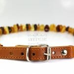 Gintarinis antkaklis