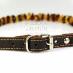 Gintarinis antkaklis