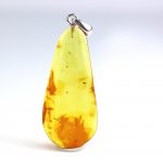 Pendant with insect inclusion