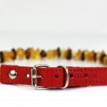 Gintarinis antkaklis