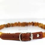 Gintarinis antkaklis