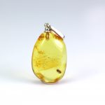 Pakabukas su lervos inkliuzu