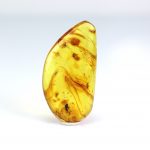 Gintaro gabaliukas su didelės musės inkliuzu