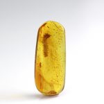 Gintaro gabaliukas su didelės vabalo lervos inkliuzu