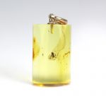 Pendant with beetle insect inclusion