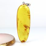 Big pendant with great spider insect inclusion