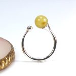 Sidabrinis žiedas su gintaro burbuliuku