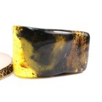 Baltic amber stone with inclusion