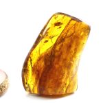 BIG Baltic amber stone with inclusion