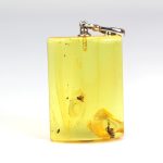 Pakabukas su vabalo ir musės inkliuzais