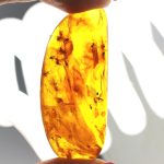 Gintaro gabaliukas su 15 uodų inkliuzu