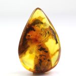 Gintaro gabaliukas su didelio voro inkliuzu