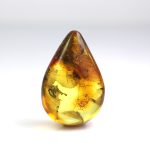 Gintaro gabaliukas su musės inkliuzu