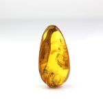 Baltic amber stone with two mosquitos inclusion