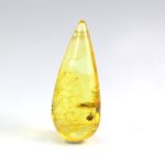 Gintaro gabaliukas su retos musės inkliuzu