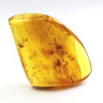 Gintaras su inkliuzu