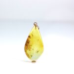 Gintarinis pakabukas su inkliuzu