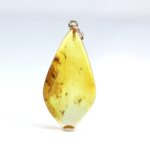 Gintarinis pakabukas su inkliuzu