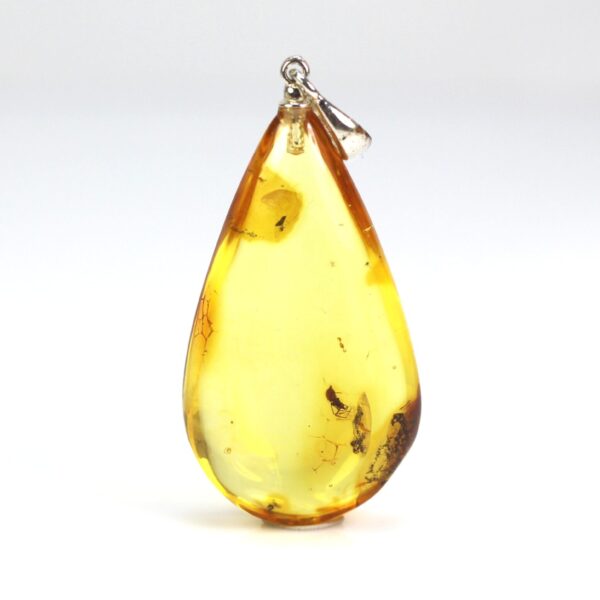 Gintarinis pakabukas su inkliuzu