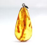 Gintarinis pakabukas su inkliuzu