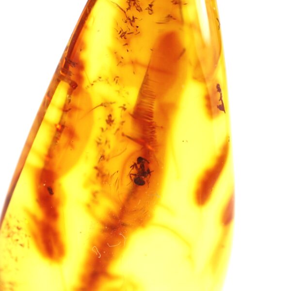 Gintarinis pakabukas su inkliuzu