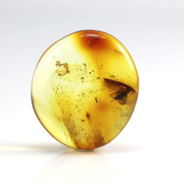 Gintaras su inkliuzu