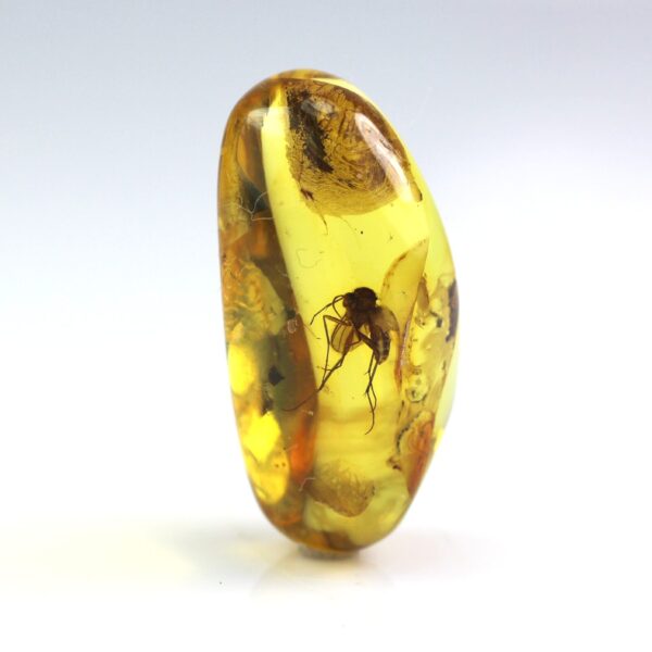 Gintaras su inkliuzu