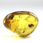 Gintaras su inkliuzu