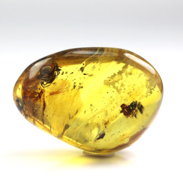 Gintaras su inkliuzu