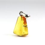 Gintarinis pakabukas su inkliuzu