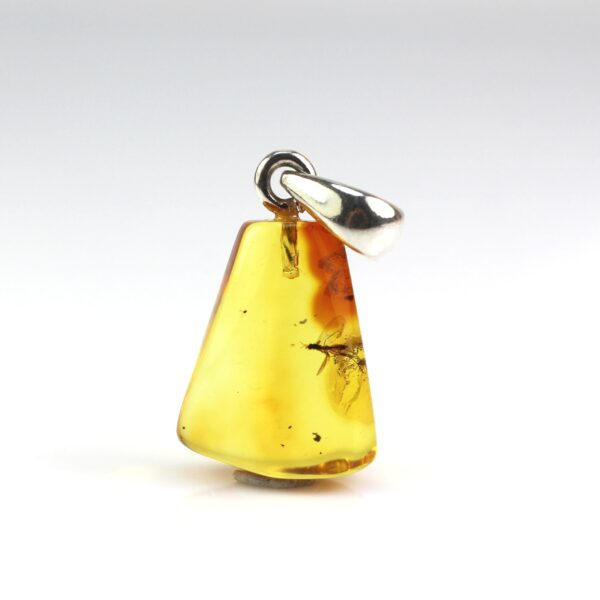 Gintarinis pakabukas su inkliuzu