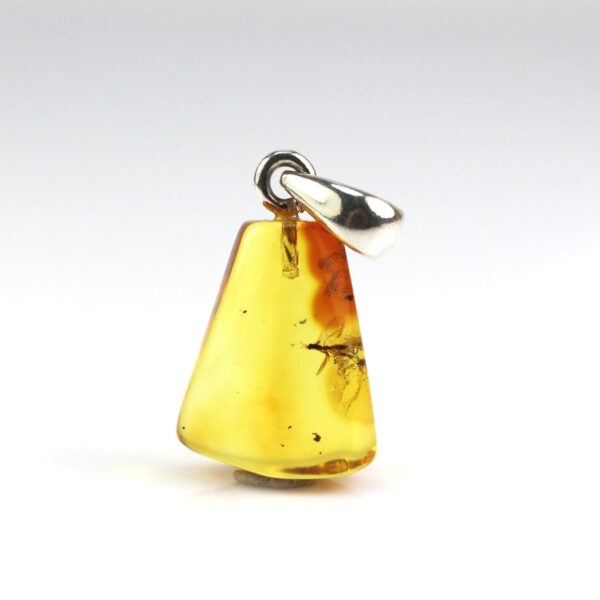 Gintarinis pakabukas su inkliuzu