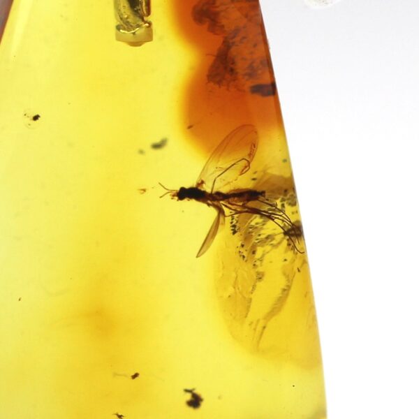 Gintarinis pakabukas su inkliuzu