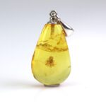 Gintarinis pakabukas su inkliuzu