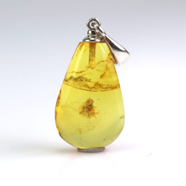 Gintarinis pakabukas su inkliuzu
