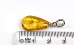 Gintarinis pakabukas su musytės inkliuzu - Image 6