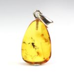 Gintarinis pakabukas su inkliuzu