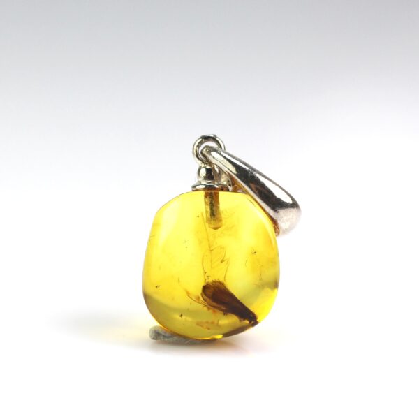Gintarinis pakabukas su inkliuzu