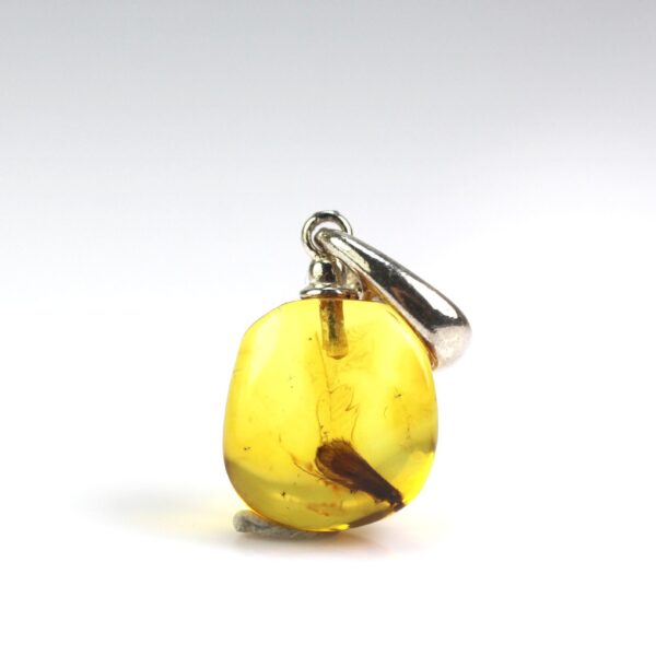 Gintarinis pakabukas su inkliuzu