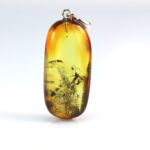 Gintarinis pakabukas su inkliuzu