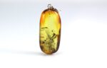 Gintarinis pakabukas su inkliuzu