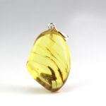 Gintarinis pakabukas su cikados inkliuzu