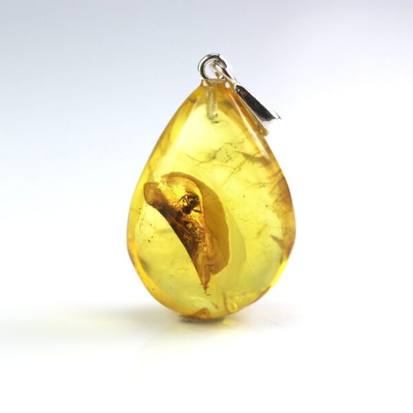 Gintarinis pakabukas su inkliuzu
