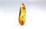 Amber pendant with inclusion