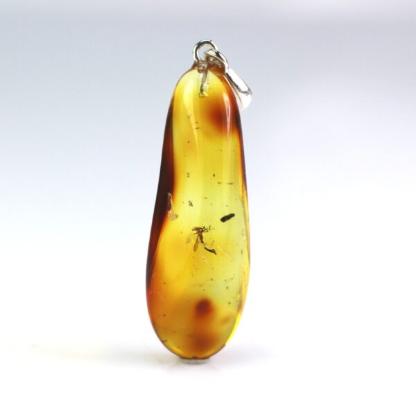 Amber pendant with inclusion